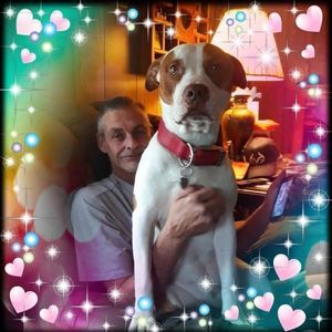 Meet your Posher, Greg